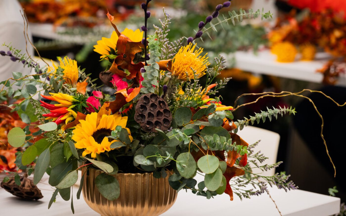 Gardening Certificate Longwood Gardens